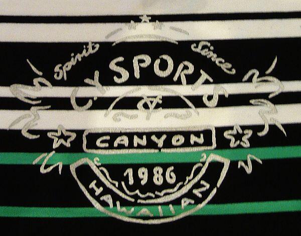 Canyon Women Sports T-Shirt schwarz-weiss-smaragdgrün