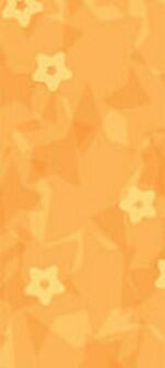 Had Tuch für Kinder-Star flower apricot