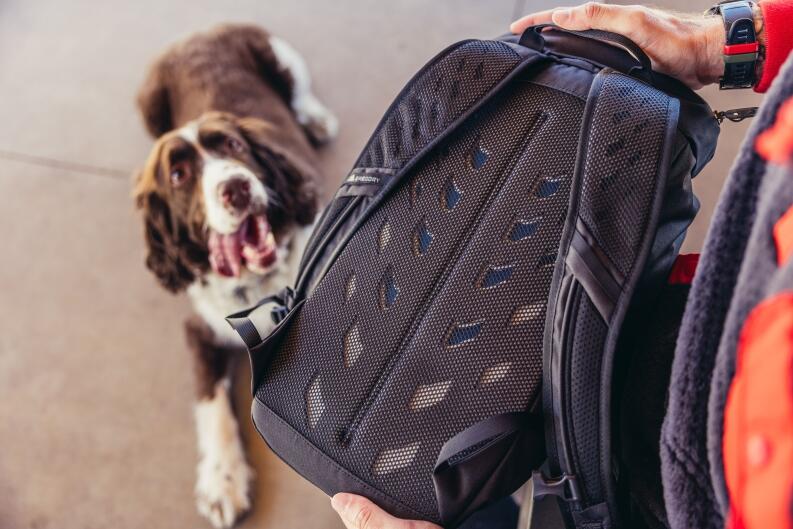 Rücken hervorragend gepolstert